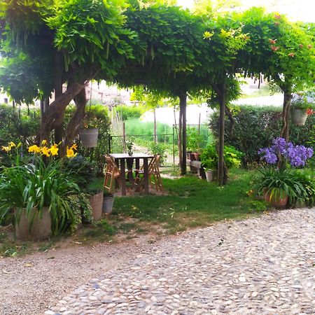 Il Germano Reale Bed & Breakfast Alba  Exterior foto