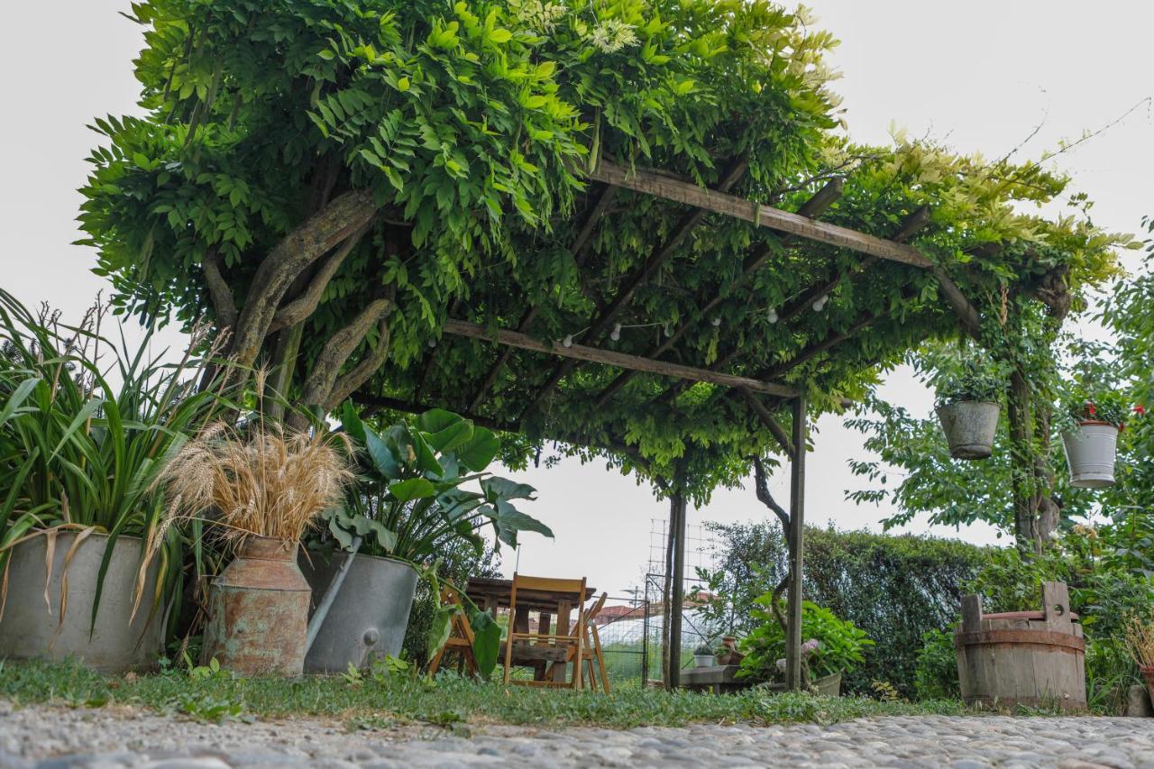 Il Germano Reale Bed & Breakfast Alba  Exterior foto