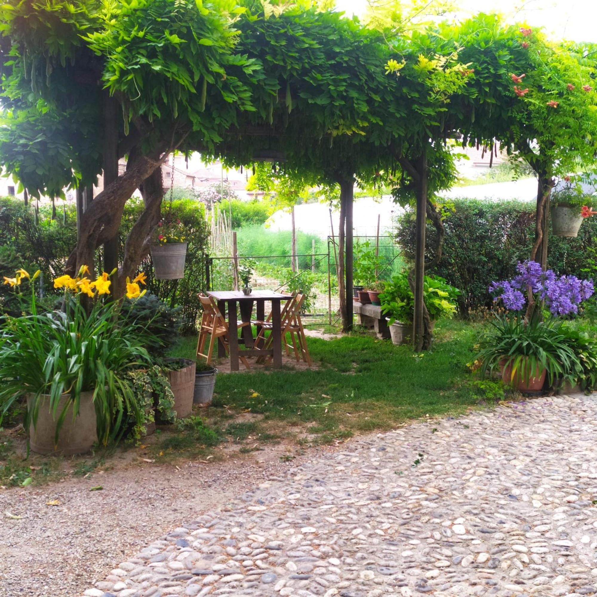Il Germano Reale Bed & Breakfast Alba  Exterior foto